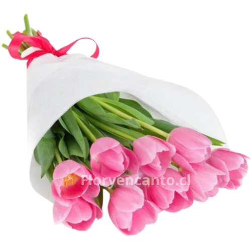 Ramo de 10 Tulipanes Rosados de Amor