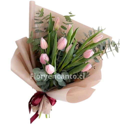 Ramo de 10 Tulipanes Rosados con Eucalipto