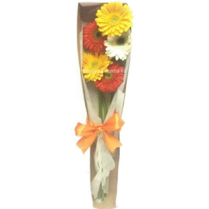 Caja de 5 Gerberas Explosión de Color