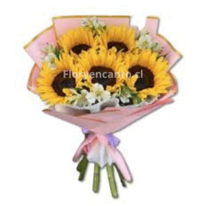 Ramo de Girasoles y Astromelias Sol de Amor