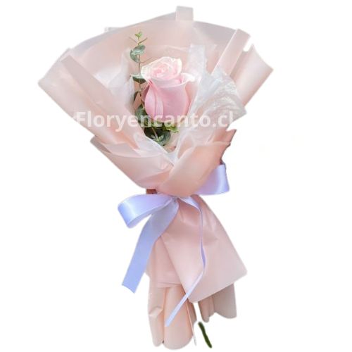 Ramo de 1 Rosa Rosada Solo para Ti