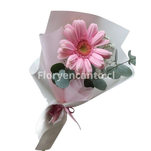 Ramo de 1 Gerbera Belleza Sutil