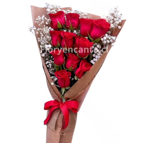 Ramo de Rosas Rojas Pasión en Doce Rosas