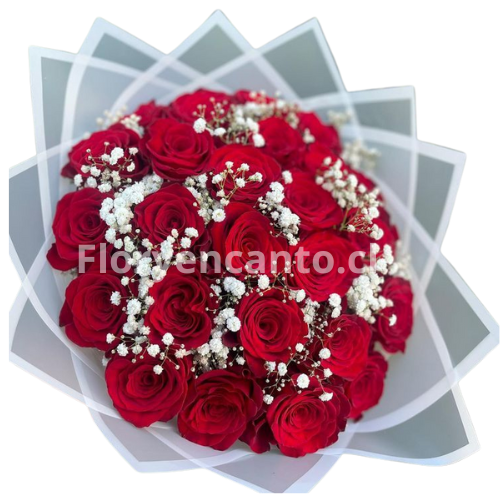Ramo de 24 Rosas Pasión y Nubes de Ternura
