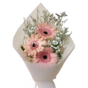 Ramo de 3 Gerberas Dulce Encuentro