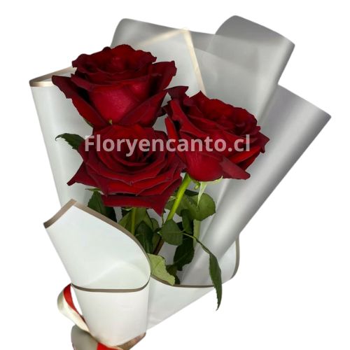 Ramo de 3 Rosas Rojas Naturalmente Tuyo