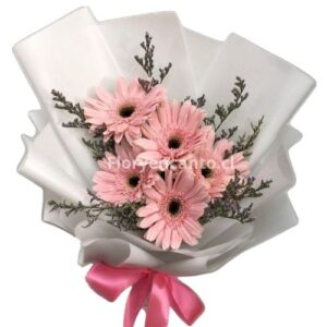 Ramo de 5 Gerberas Melodía en Rosa