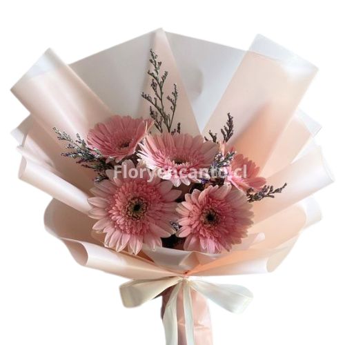Ramo de 5 Gerberas Rosado en Armonía