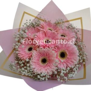 Ramo de 7 Gerberas Rosado Encanto