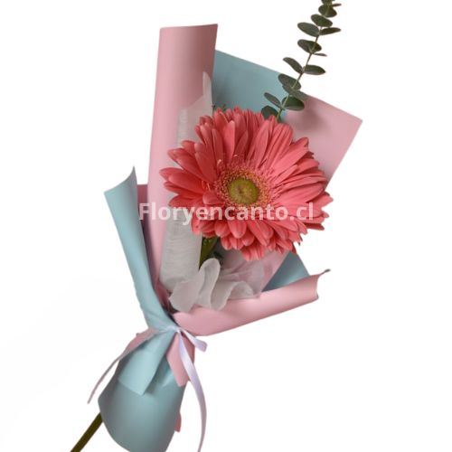 Ramo de 1 Gerbera Simplicidad Natural