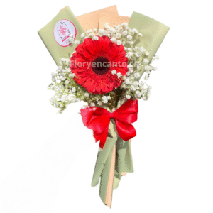 Ramo de 1 Gerbera Rojo Intenso
