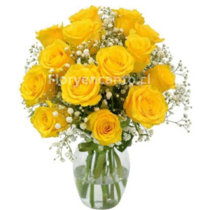 florero de 12 rosas amarillas Doce Soles