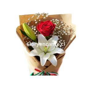 Un Encuentro de Elegancia Rosa y Lilium