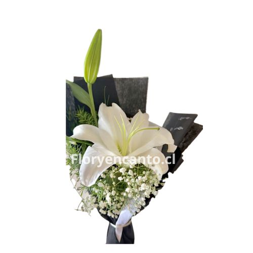 Ramo de 1 Lilium Esencia de Luz