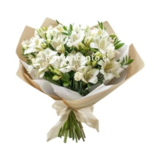 Ramo de 10 Astromelias Blancas La Fuerza de la Pureza