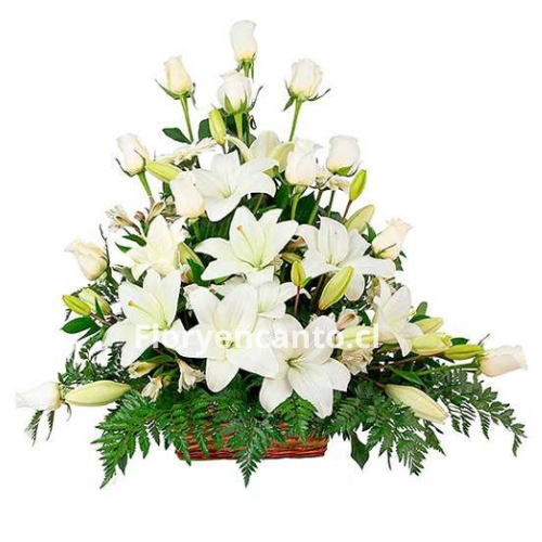 Arreglo de Condolencias Rosas y Liliums