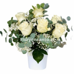 Box de condolencias Gran Homenaje