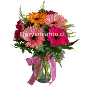 Florero de 7 Gerberas Surtidas