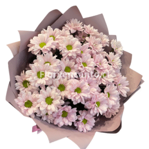 Ramo de Margaritas Amanecer Rosado