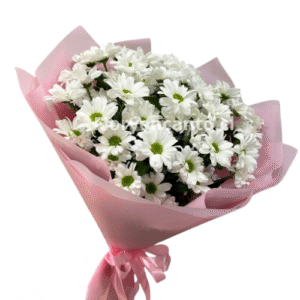 Ramo de Margaritas Elegancia en Blanco