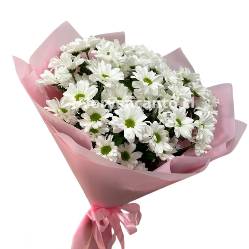 Ramo de Margaritas Elegancia en Blanco