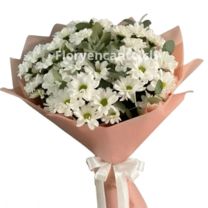 Ramo de Margaritas y Eucalipto