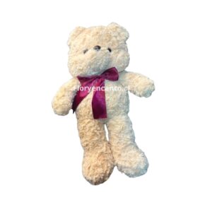 OSO DE PELUCHE