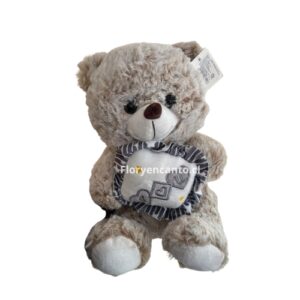 Oso de Peluche Gris